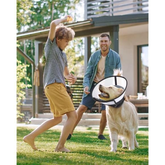 Dog Cone for Dogs After Surgery, Soft Dog Recovery Cone, Breathable (Large Dog) - Picture 3 of 6